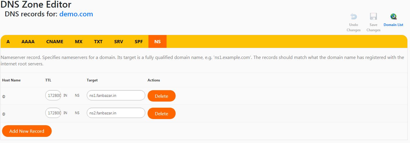 DNS Sever Details